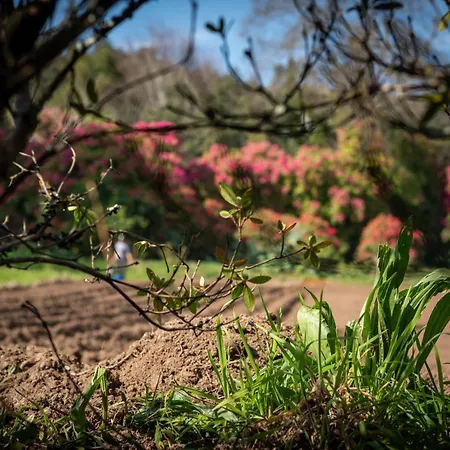 컨트리하우스 Quinta De Mouraes Casa Dos Rododendros