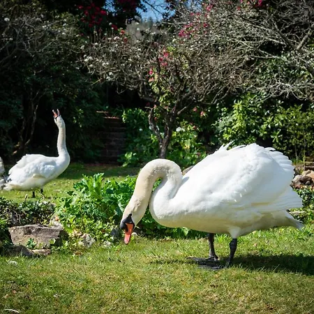 Quinta De Mouraes Casa Dos Rododendros *