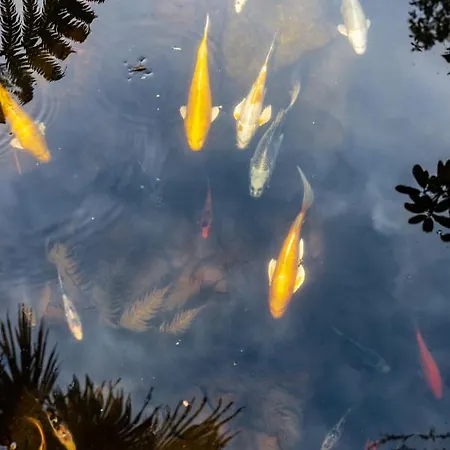 Quinta De Mouraes Casa Dos Rododendros