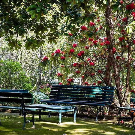 Quinta De Mouraes Casa Dos Rododendros 컨트리하우스