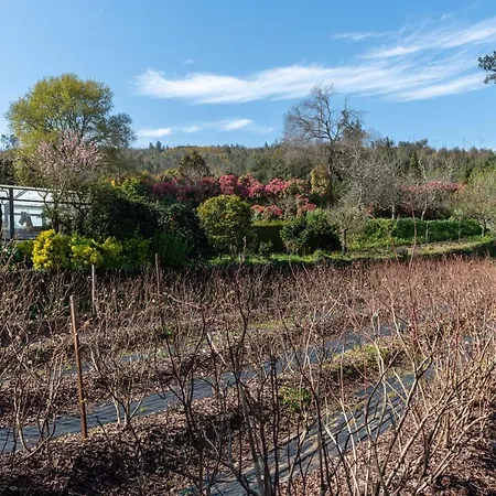 컨트리하우스 Quinta De Mouraes Casa Dos Rododendros Lever