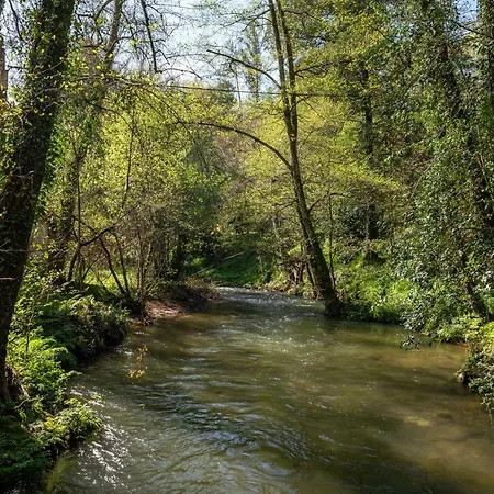 Quinta De Mouraes Casa Dos Rododendros