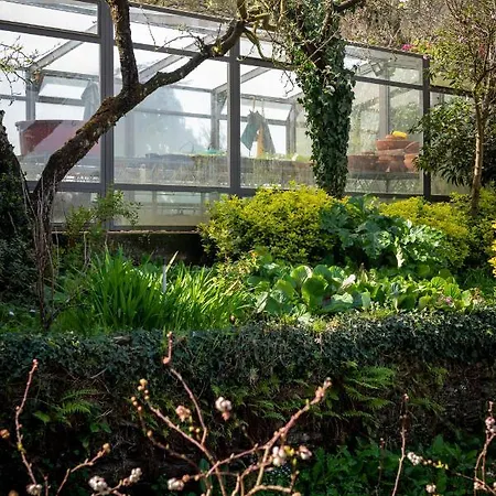 Quinta De Mouraes Casa Dos Rododendros Εξοχικό σπίτι