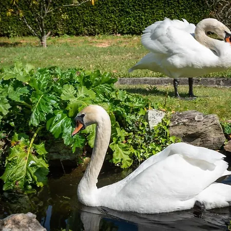 Quinta De Mouraes Casa Dos Rododendros Lever