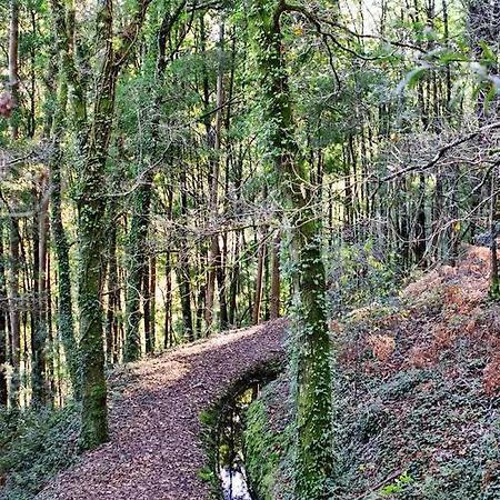 Quinta De Mouraes Casa Dos Rododendros * Lever