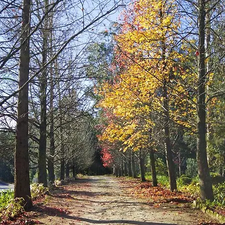 Quinta De Mouraes Casa Dos Rododendros منزل ريفي Lever