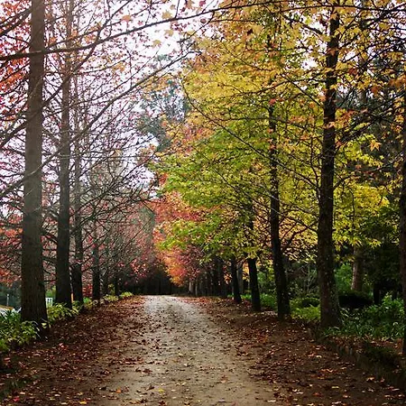Quinta De Mouraes Casa Dos Rododendros منزل ريفي *