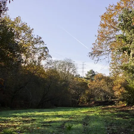 Quinta De Mouraes Casa Dos Rododendros * Lever
