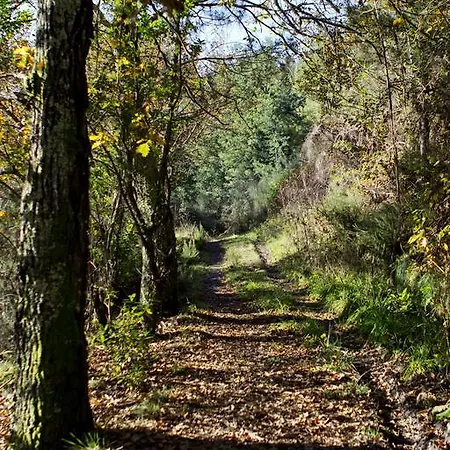 Quinta De Mouraes Casa Dos Rododendros Landhuis