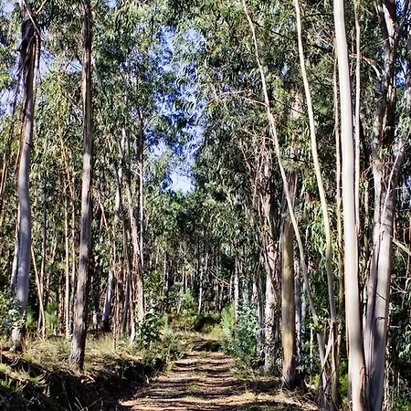컨트리하우스 Quinta De Mouraes Casa Dos Rododendros Lever