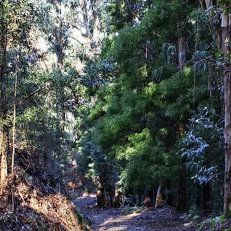Quinta De Mouraes Casa Dos Rododendros Landhuis *