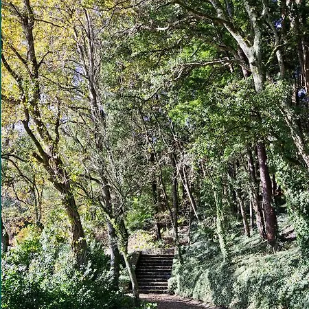 Quinta De Mouraes Casa Dos Rododendros Lever