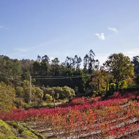 Quinta De Mouraes Casa Dos Rododendros