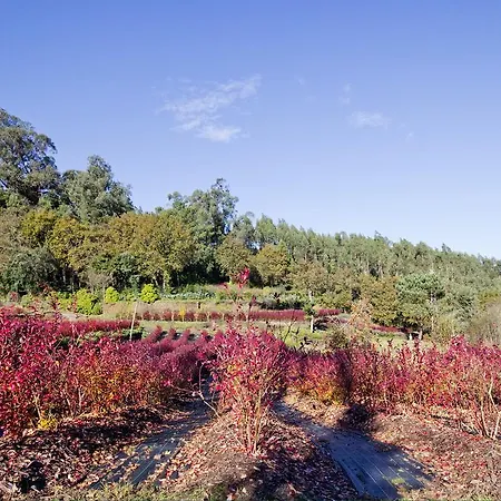 Quinta De Mouraes Casa Dos Rododendros Εξοχικό σπίτι *
