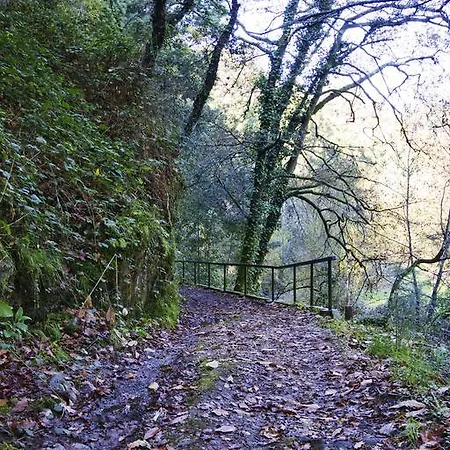 Εξοχικό σπίτι Quinta De Mouraes Casa Dos Rododendros Lever