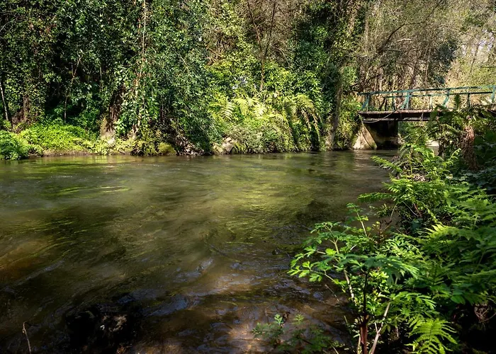 Quinta De Mouraes Casa Dos Rododendros Gospodarstwo wiejskie