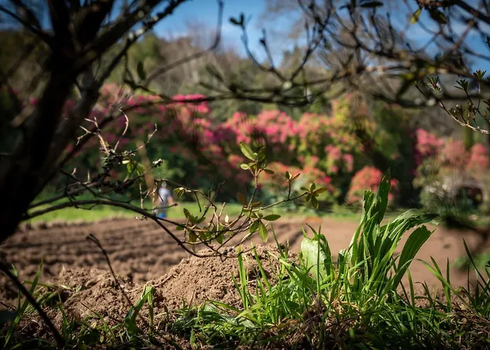 Séjour à la campagne Quinta De Mouraes Casa Dos Rododendros