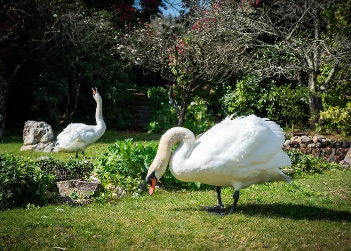 Quinta De Mouraes Casa Dos Rododendros *