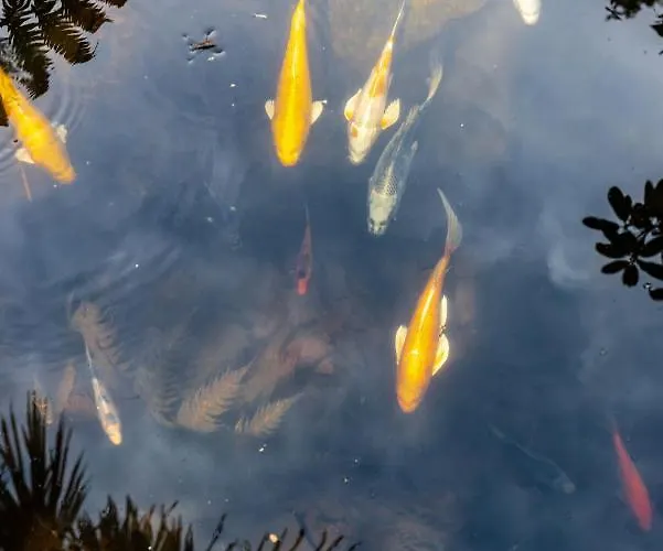 Quinta De Mouraes Casa Dos Rododendros