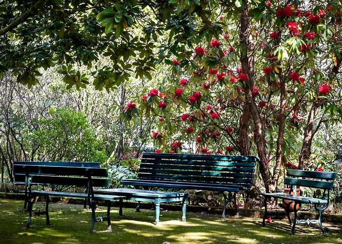 Quinta De Mouraes Casa Dos Rododendros Εξοχικό σπίτι