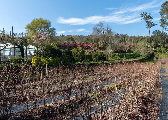 Gospodarstwo wiejskie Quinta De Mouraes Casa Dos Rododendros Lever