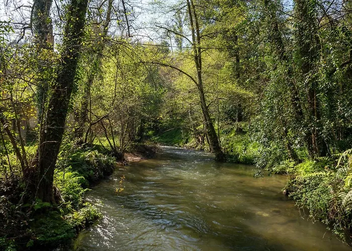 Quinta De Mouraes Casa Dos Rododendros