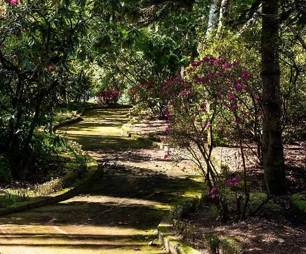 Quinta De Mouraes Casa Dos Rododendros Séjour à la campagne Lever