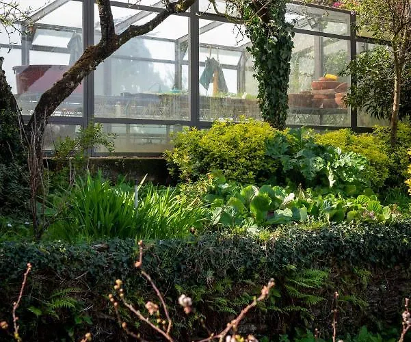 Quinta De Mouraes Casa Dos Rododendros Séjour à la campagne