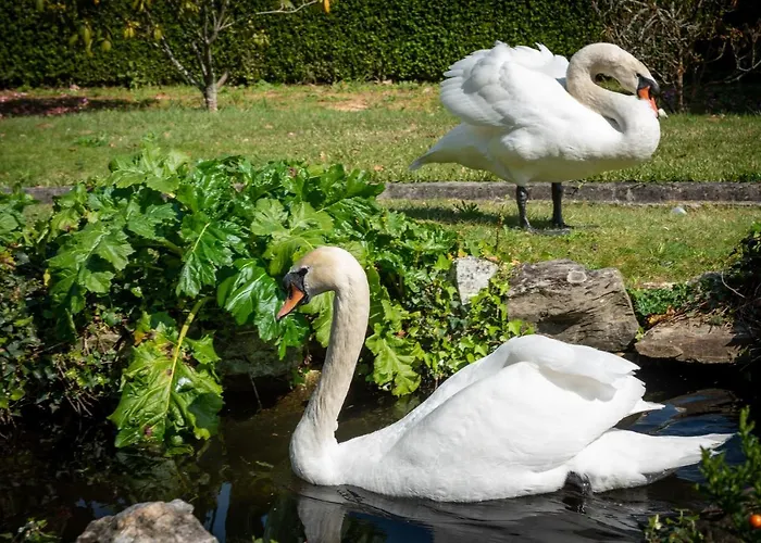 Quinta De Mouraes Casa Dos Rododendros Lever