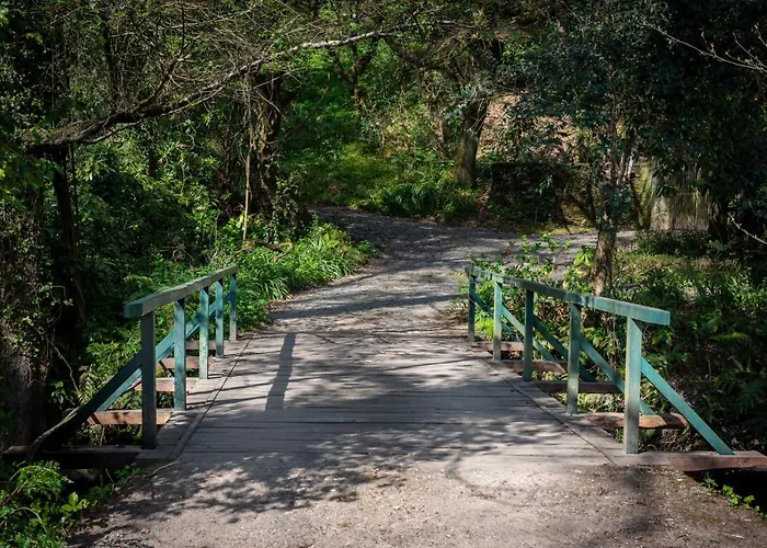 Gospodarstwo wiejskie Quinta De Mouraes Casa Dos Rododendros