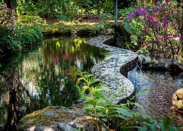 Gospodarstwo wiejskie Quinta De Mouraes Casa Dos Rododendros *