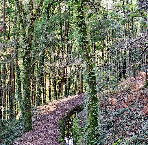 Quinta De Mouraes Casa Dos Rododendros * Lever