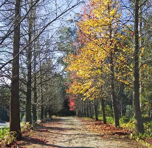 Quinta De Mouraes Casa Dos Rododendros Séjour à la campagne Lever