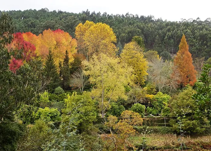 Quinta De Mouraes Casa Dos Rododendros