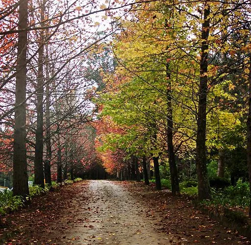 Quinta De Mouraes Casa Dos Rododendros Gospodarstwo wiejskie *