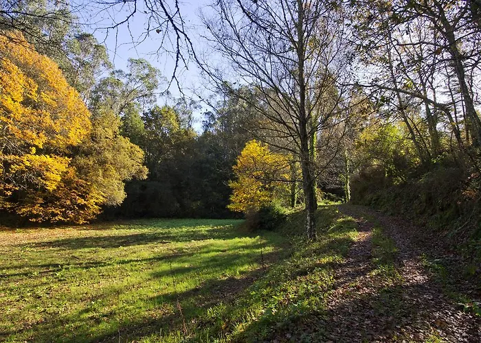 Quinta De Mouraes Casa Dos Rododendros Séjour à la campagne Lever