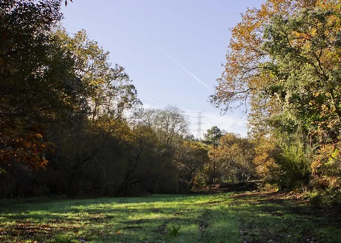 Quinta De Mouraes Casa Dos Rododendros * Lever