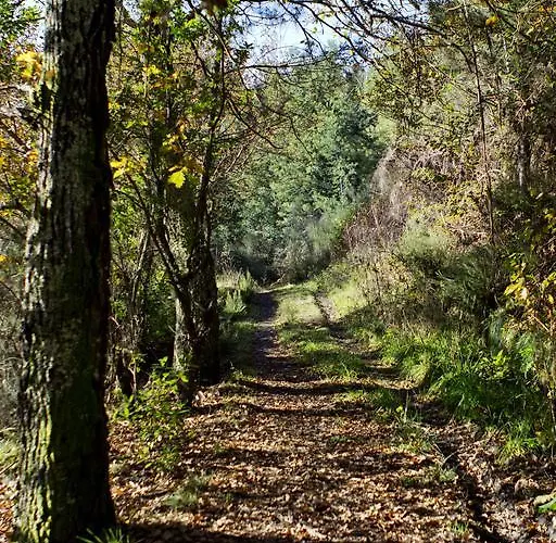 Quinta De Mouraes Casa Dos Rododendros Séjour à la campagne