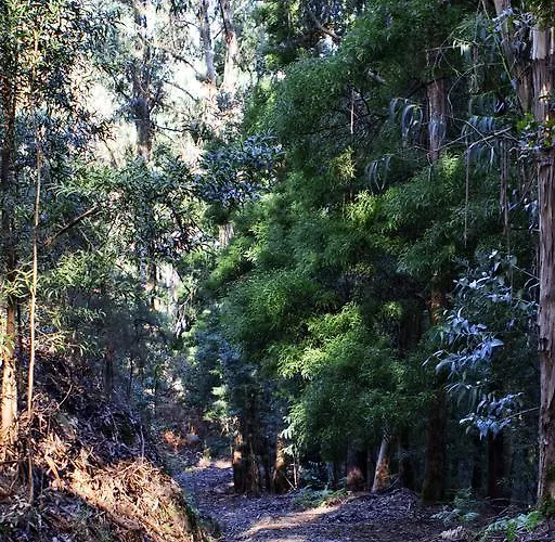 Quinta De Mouraes Casa Dos Rododendros Séjour à la campagne *