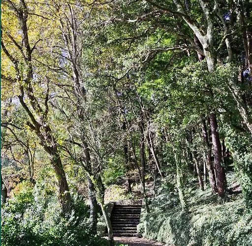 Quinta De Mouraes Casa Dos Rododendros Lever