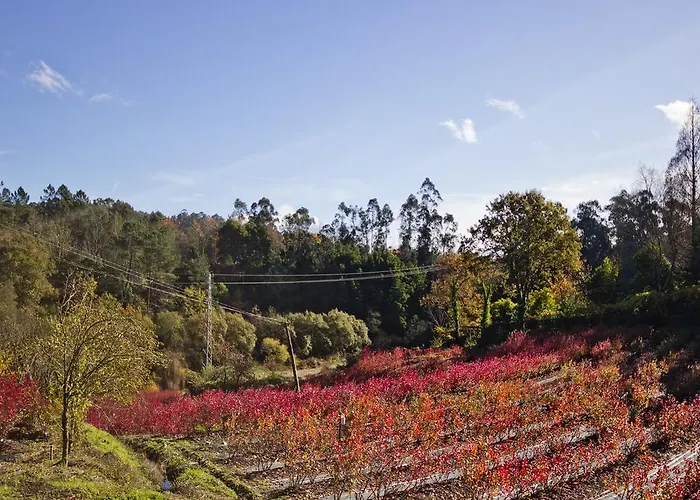 Quinta De Mouraes Casa Dos Rododendros