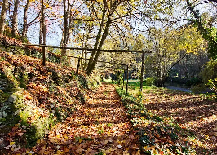Séjour à la campagne Quinta De Mouraes Casa Dos Rododendros