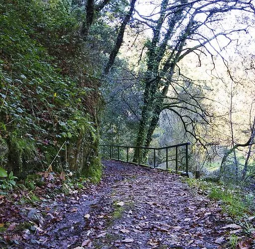 Séjour à la campagne Quinta De Mouraes Casa Dos Rododendros Lever